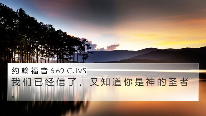 约 翰 福 音 6:69 CUVS Bible Verse Image