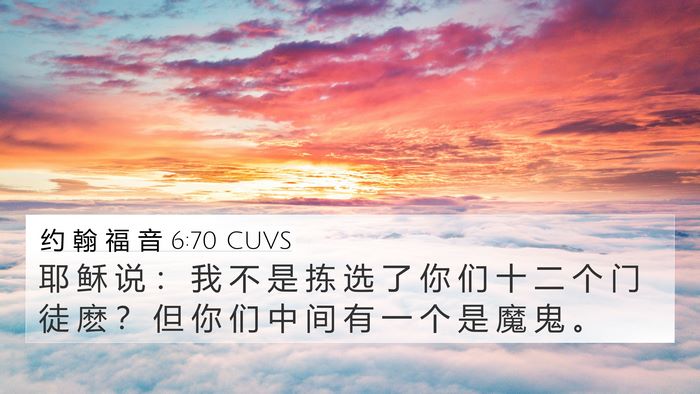约 翰 福 音 6:70 CUVS Bible Verse Image
