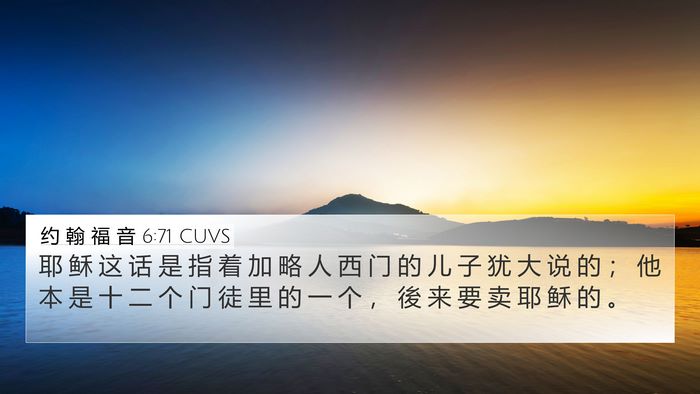 约 翰 福 音 6:71 CUVS Bible Verse Image