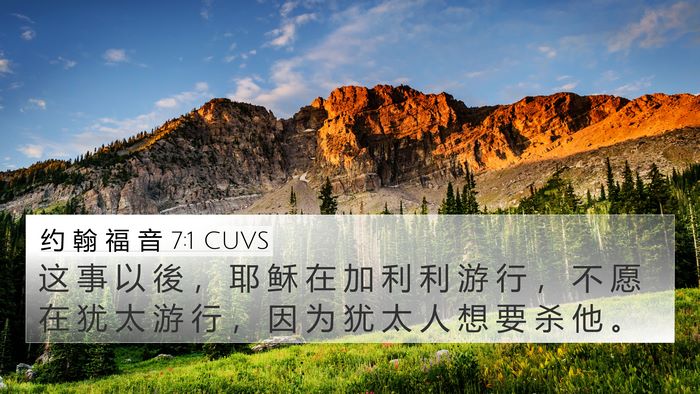 约 翰 福 音 7:1 CUVS Bible Verse Image