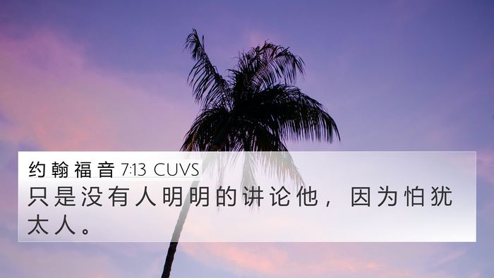 约 翰 福 音 7:13 CUVS Bible Verse Image