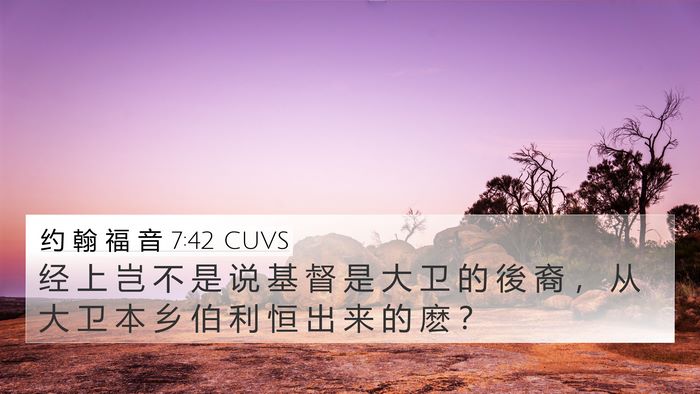约 翰 福 音 7:42 CUVS Bible Verse Image