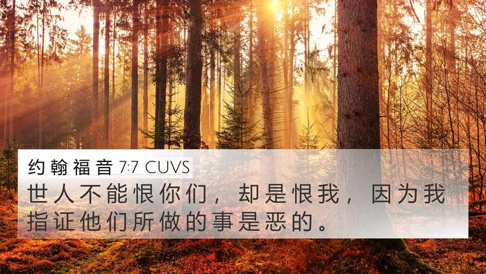 约 翰 福 音 7:7 CUVS Bible Verse Image