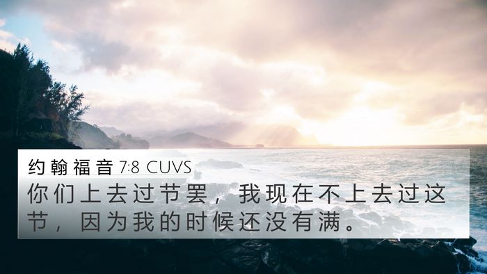 约 翰 福 音 7:8 CUVS Bible Verse Image