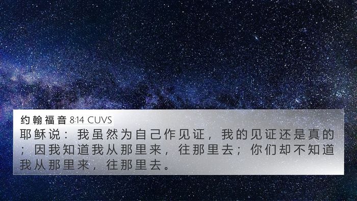 约 翰 福 音 8:14 CUVS Bible Verse Image