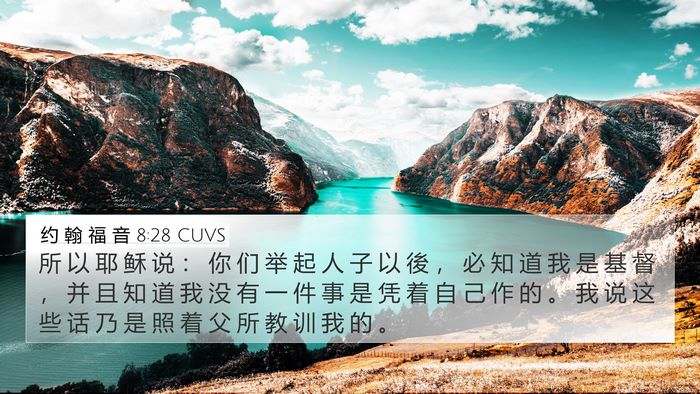 约 翰 福 音 8:28 CUVS Bible Verse Image