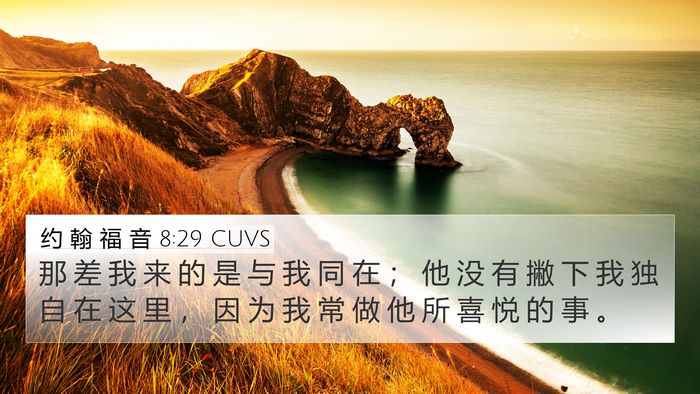 约 翰 福 音 8:29 CUVS Bible Verse Image