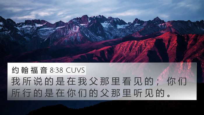 约 翰 福 音 8:38 CUVS Bible Verse Image