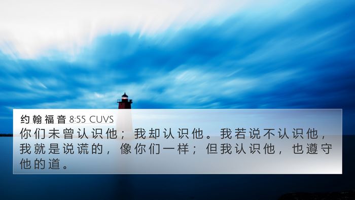 约 翰 福 音 8:55 CUVS Bible Verse Image