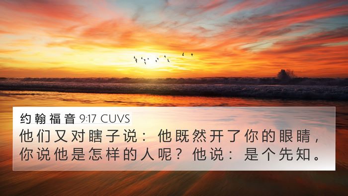 约 翰 福 音 9:17 CUVS Bible Verse Image
