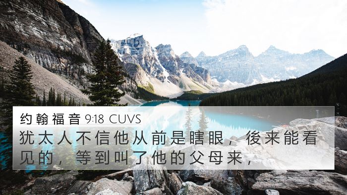 约 翰 福 音 9:18 CUVS Bible Verse Image