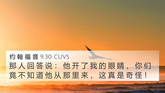 约 翰 福 音 9:30 CUVS Bible Verse Image