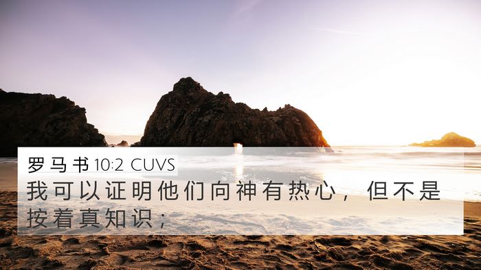 罗 马 书 10:2 CUVS Bible Verse Image