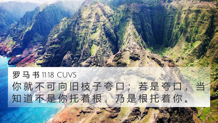 罗 马 书 11:18 CUVS 4K Wallpaper - 你 就 不 可 向 旧 枝 子 夸 口 ； 若 - 4K Wallpaper Bible Verse