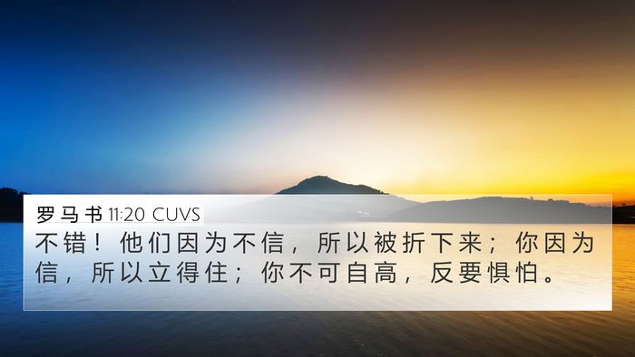 罗 马 书 11:20 CUVS Bible Verse Image