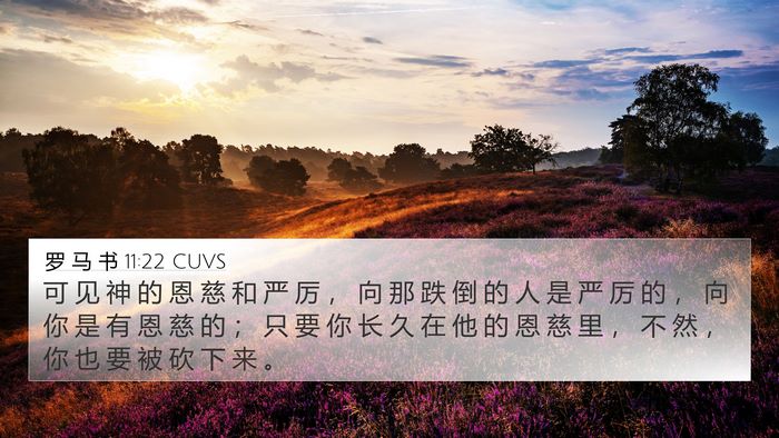 罗 马 书 11:22 CUVS Bible Verse Image