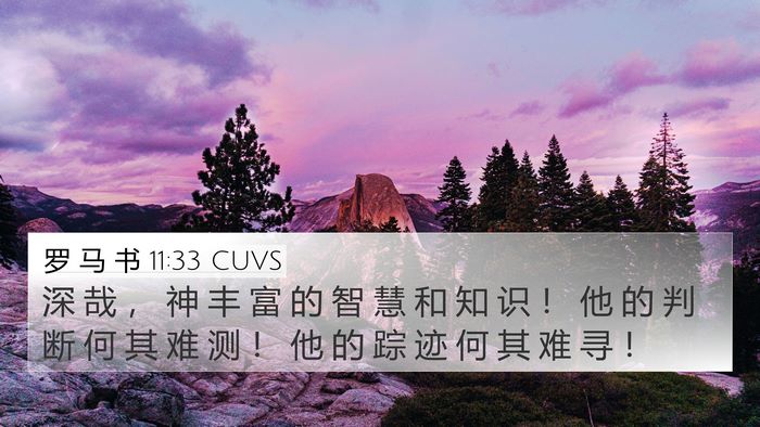 罗 马 书 11:33 CUVS Bible Verse Image
