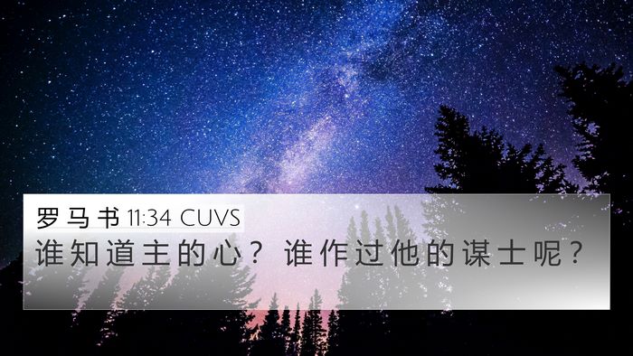 罗 马 书 11:34 CUVS Bible Verse Image