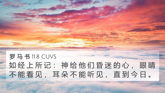 罗 马 书 11:8 CUVS Bible Verse Image