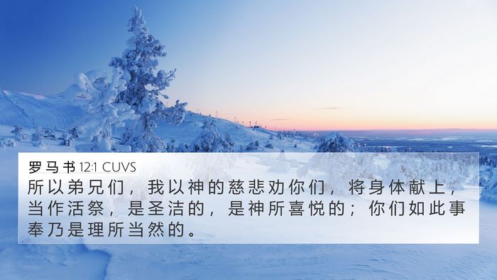 罗 马 书 12:1 CUVS Bible Verse Image