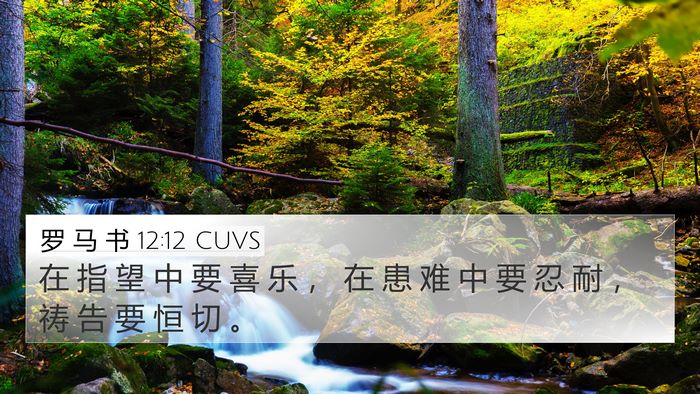 罗 马 书 12:12 CUVS Bible Verse Image