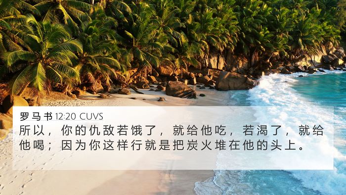 罗 马 书 12:20 CUVS Bible Verse Image