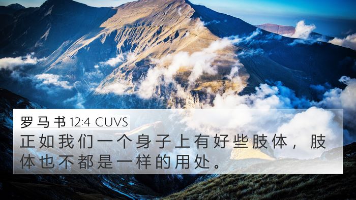 罗 马 书 12:4 CUVS Bible Verse Image