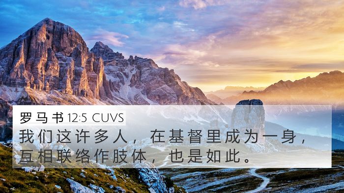 罗 马 书 12:5 CUVS Bible Verse Image