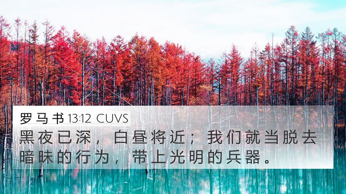 罗 马 书 13:12 CUVS Bible Verse Image