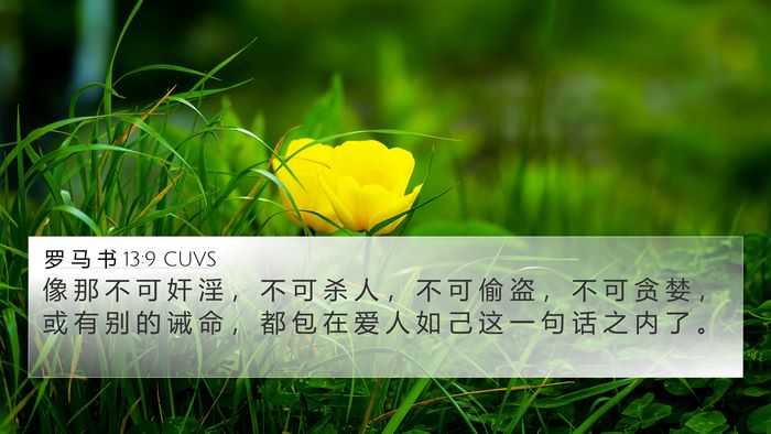 罗 马 书 13:9 CUVS Bible Verse Image