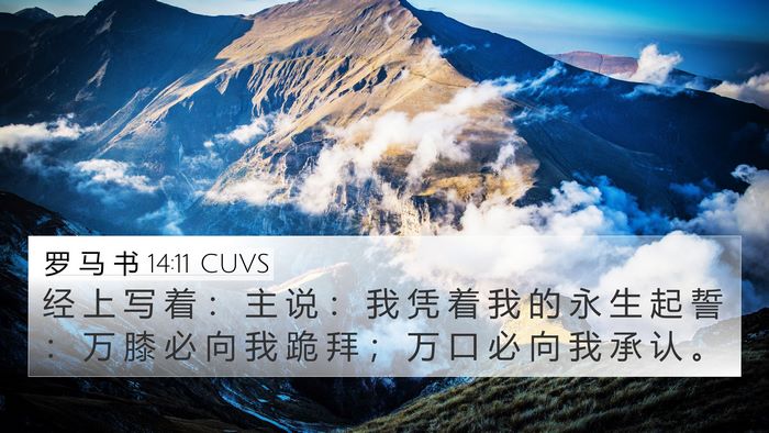 罗 马 书 14:11 CUVS Bible Verse Image