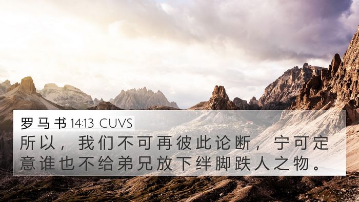 罗 马 书 14:13 CUVS Bible Verse Image