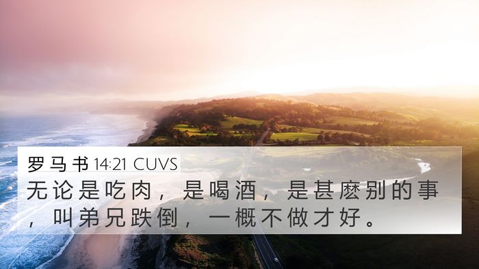 罗 马 书 14:21 CUVS Bible Verse Image