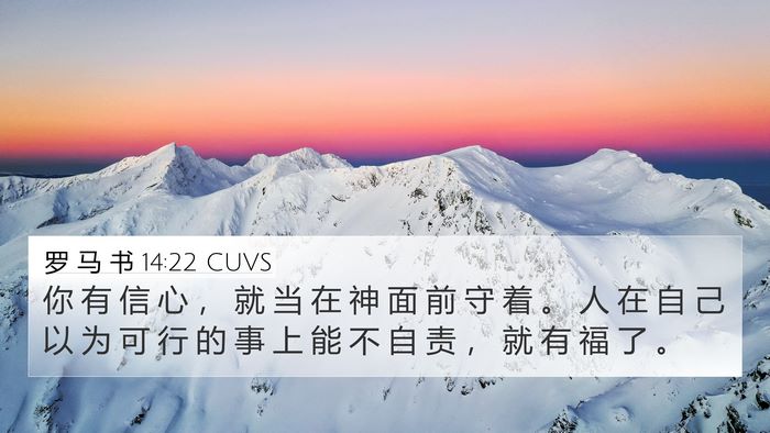 罗 马 书 14:22 CUVS Bible Verse Image