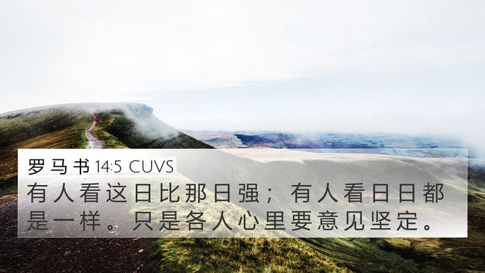罗 马 书 14:5 CUVS Bible Verse Image