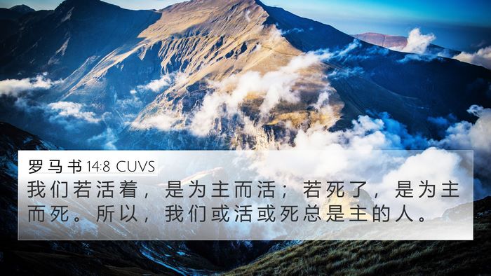 罗 马 书 14:8 CUVS Bible Verse Image