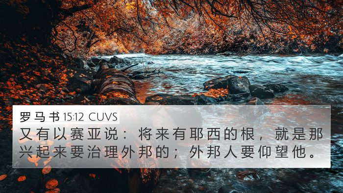 罗 马 书 15:12 CUVS Bible Verse Image