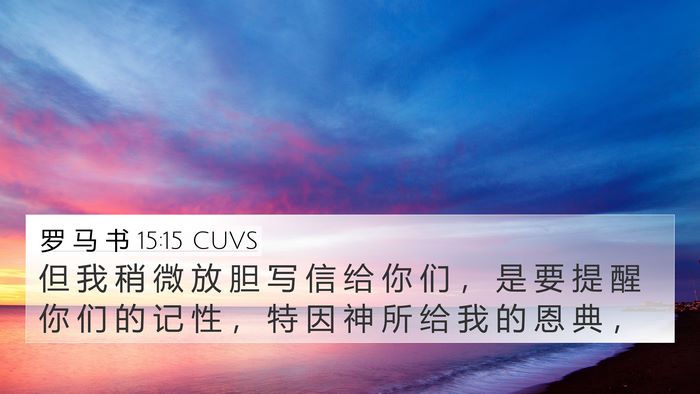 罗 马 书 15:15 CUVS Bible Verse Image