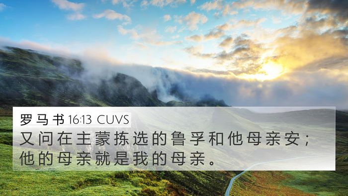 罗 马 书 16:13 CUVS Bible Verse Image