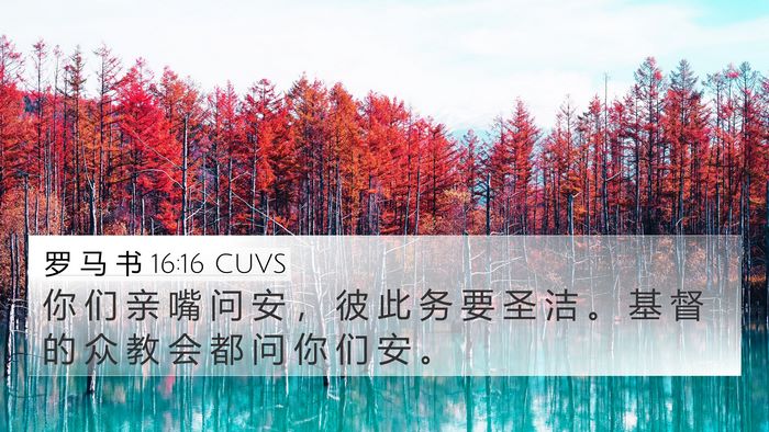 罗 马 书 16:16 CUVS Bible Verse Image