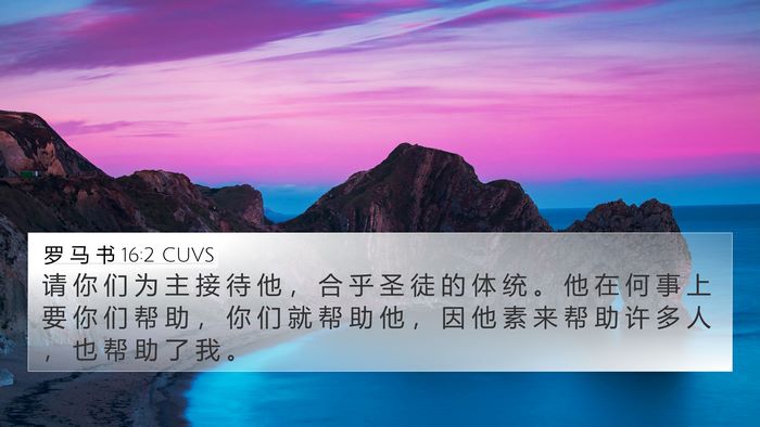 罗 马 书 16:2 CUVS Bible Verse Image