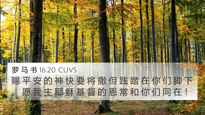 罗 马 书 16:20 CUVS Bible Verse Image