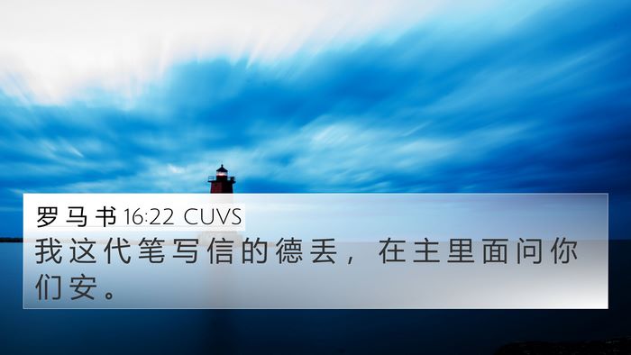 罗 马 书 16:22 CUVS Bible Verse Image