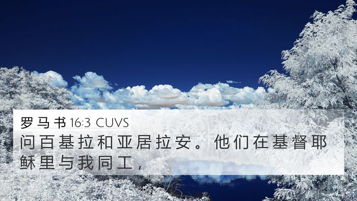 罗 马 书 16:3 CUVS Bible Verse Image