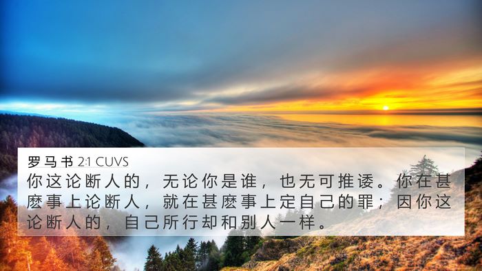 罗 马 书 2:1 CUVS Bible Verse Image