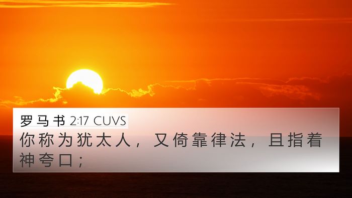 罗 马 书 2:17 CUVS Bible Verse Image
