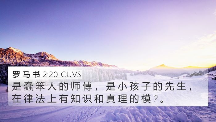 罗 马 书 2:20 CUVS Bible Verse Image