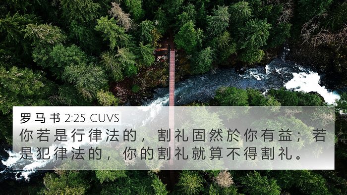罗 马 书 2:25 CUVS Bible Verse Image
