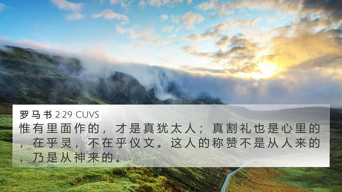 罗 马 书 2:29 CUVS Bible Verse Image