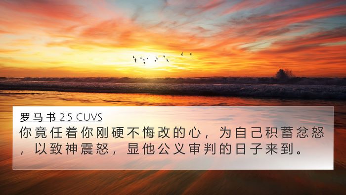 罗 马 书 2:5 CUVS Bible Verse Image